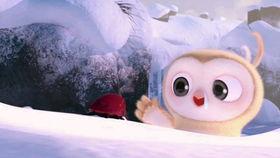 夫妻日常吃瓜比赛,甜蜜竞技，瓜香四溢的日常欢乐