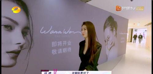 重生成炮灰女明星,炮灰女明星的华丽蜕变之路