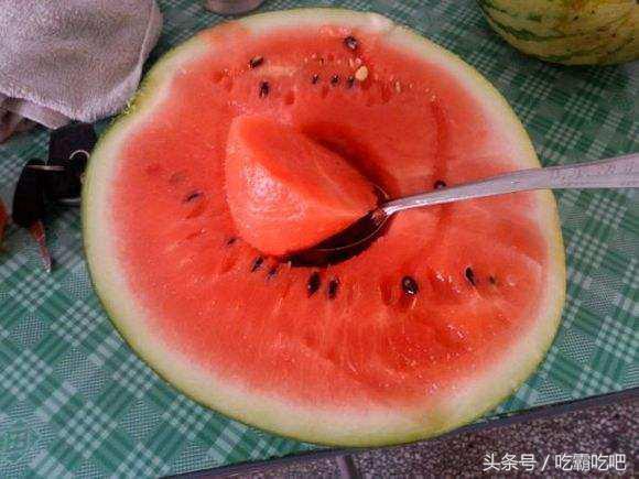 日本吃瓜看哪个,吃瓜群众的娱乐盛宴