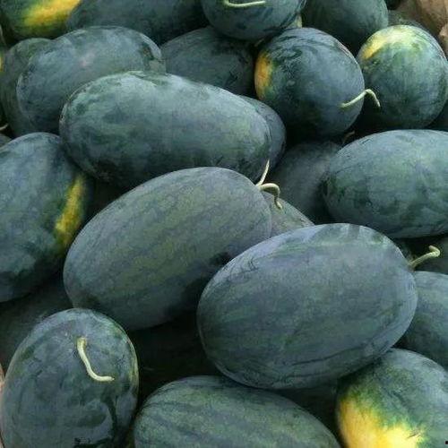 什么叫看瓜和吃瓜,揭秘网络围观背后的心理奥秘