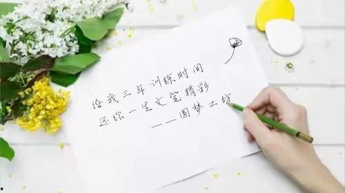 带宝宝看尽日料文案,一场味蕾与童心的美食之旅