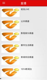 南宁头条百科主页,南宁城市文化与社会生活全览