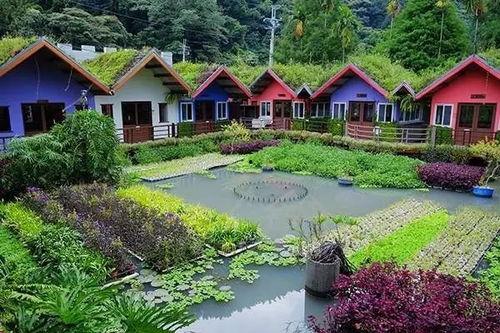 网红农庄策划方案怎么写,打造田园风光与互动体验的现代农业乐园