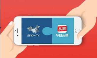 如何筛选头条问答,高效筛选优质内容的秘诀