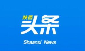 陕西阜川今日头条,今日头条聚焦乡村振兴新篇章