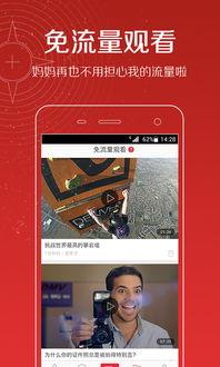 头条视频4万粉丝,揭秘热门内容背后的创作秘诀