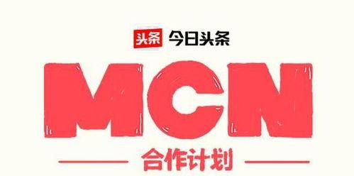 头条上的mcn机构,内容生态新势力崛起