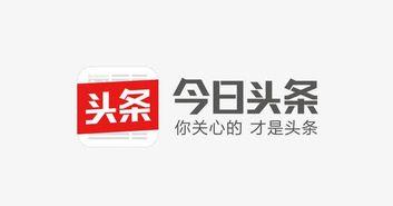 霍邱城市今日头条,聚焦本土热点，解码发展新篇章