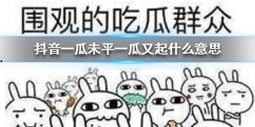 抖音吃瓜学院,揭秘网红圈幕后故事