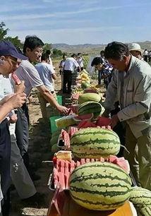 苏州疫情吃瓜视频