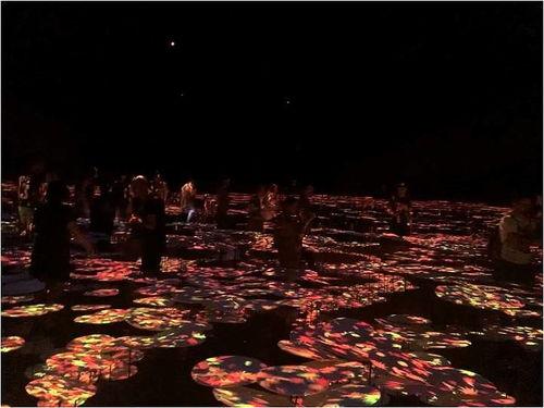 网红互动展厅方案,打造沉浸式体验的数字营销新篇章